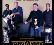Blue Crane Music presents Plywood Cowboy